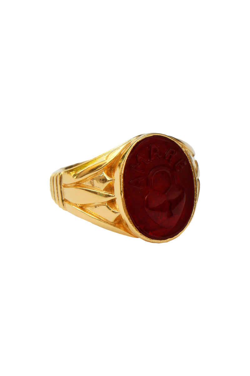 Amare Signet Ring - Goud