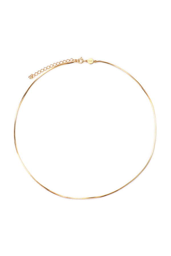 Delicate Chain Ketting - Goud