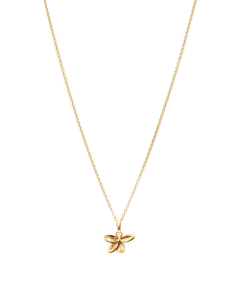 Orchid Bedel - Goud