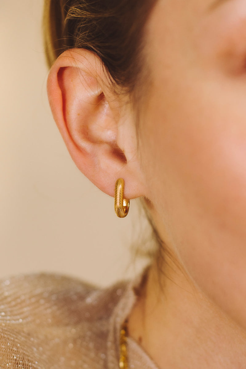 Oval Hugging Hoop Earring - Gold