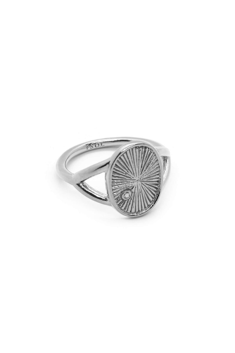 Shine Signet Ring - Zilver